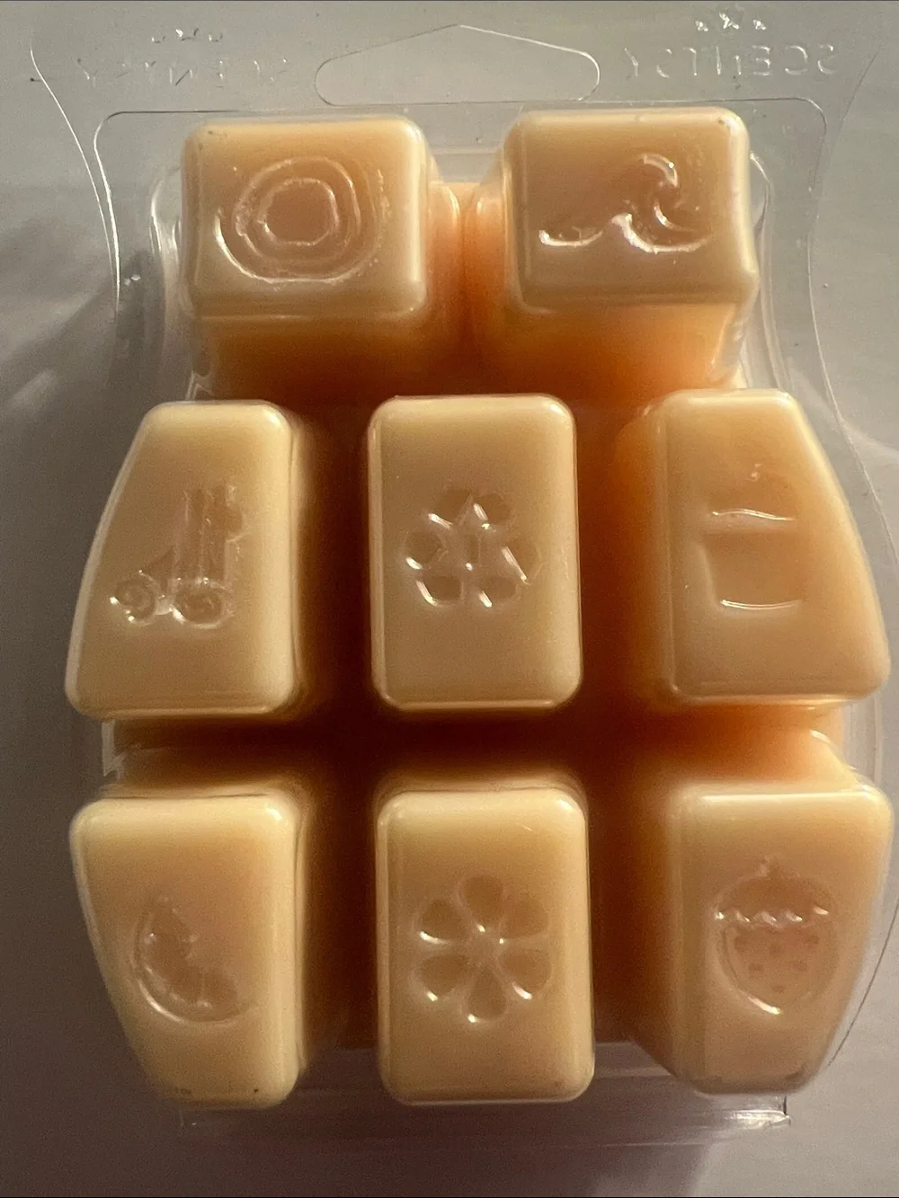 RETIRED/DISCONTINUED Scentsy Rio Beach BBMB Wax Bar